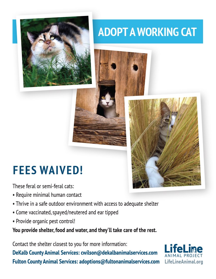 Lifeline Animal Project On Twitter Have A Local Business Barn