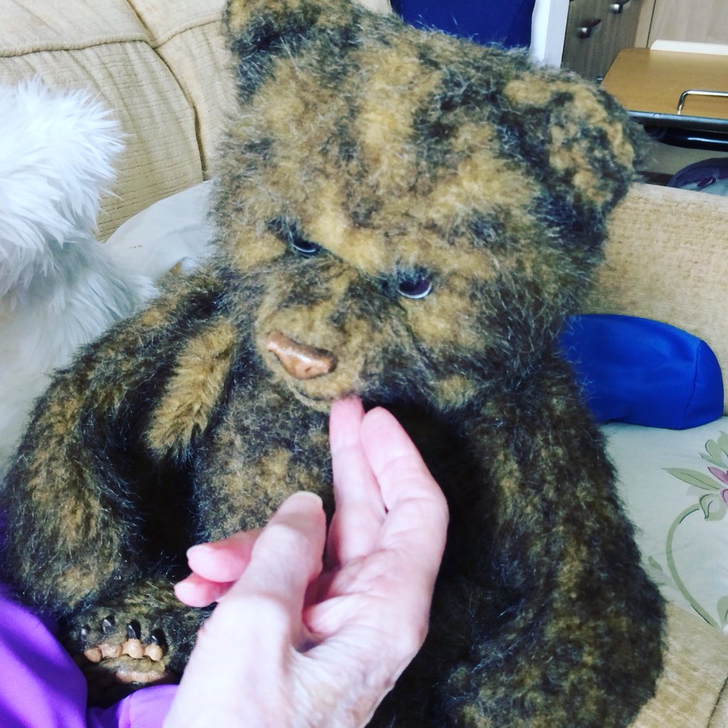 animalsfordeme1's tweet photo. A real looking moving bear 🐻 was donated to a 93 year old lady in Leicestershire today from our book sales #gettingoldbook #animaltherapy #dementiaawareness #helpingelderly #helpinganimals https://t.co/rOK1yFCW97
