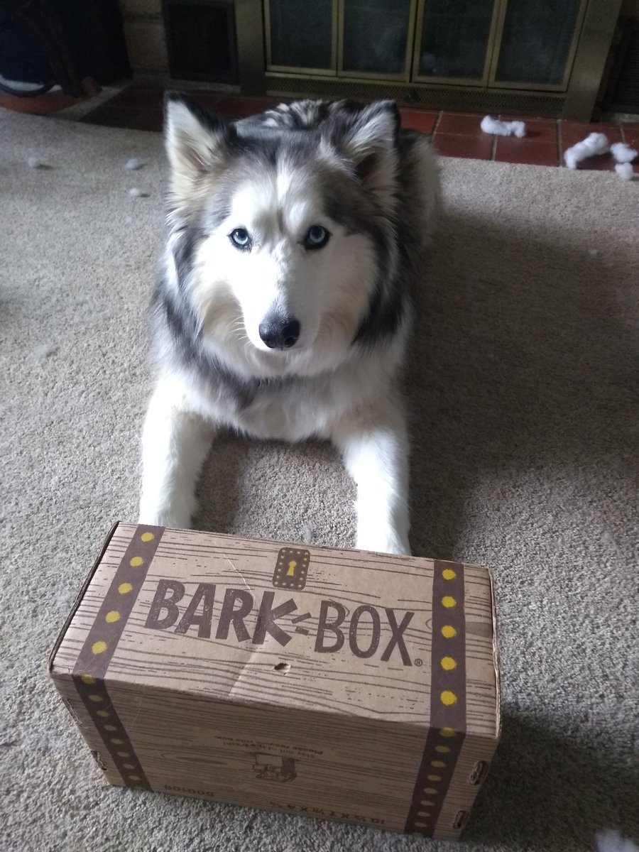 AWalk_Husky's tweet photo. A box came. I feel like it's for me. @barkbox #BarkBoxDay https://t.co/6l09EyNOQ4