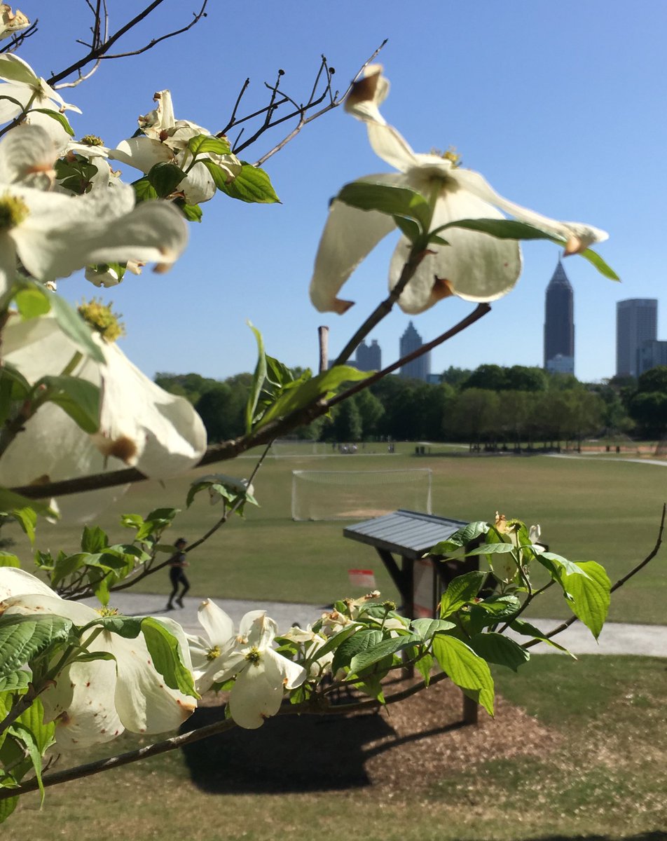 504Miche's tweet photo. Piedmont Park. #AISLATL https://t.co/NTBH5cG3KB