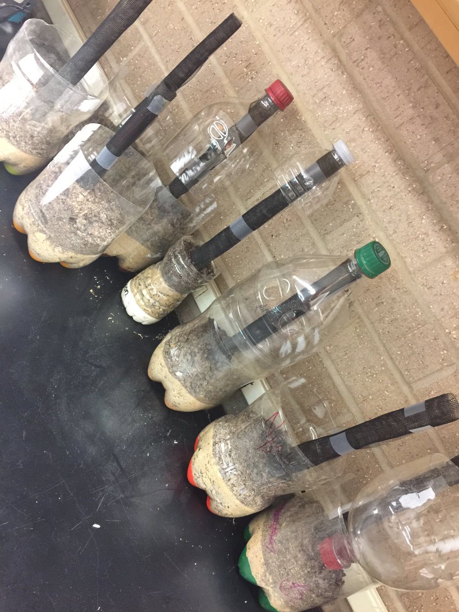 alainasmithy's tweet photo. Huskies hands-on! Check out our 7th grade students building aquifers in Mrs. Osteen’s class today. @TisdScience @tylerisdlearn @hubbardtylerisd @BozickKatherine @jmw1770 https://t.co/pyXDgE1fWg