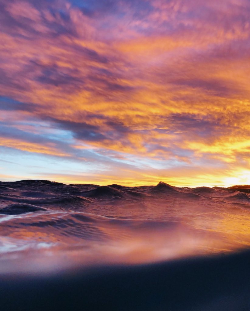 RyanPernofski's tweet photo. our days begin and end in stunning bursts of colour https://t.co/dK7fT4yT9s