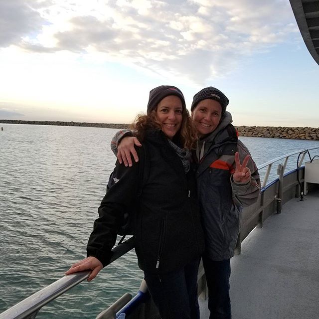 OceanInstitute's tweet photo. Teachers have fun on our field trips too! It's never too early to start planning your trip for next school year! #Repost 
#rhdanaes #capoforward 📷: @rhsmarties https://t.co/RpguxM7r6t