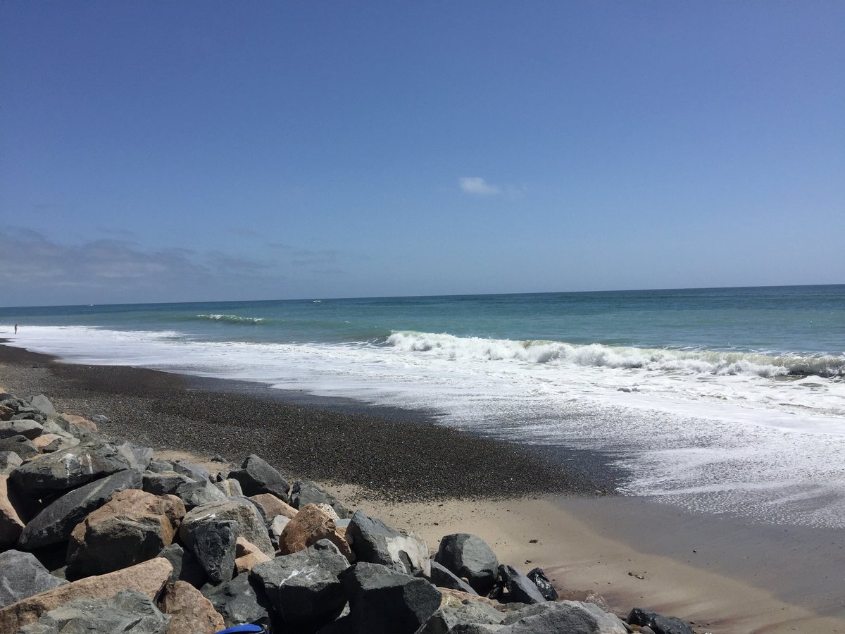 SouthOCSurffish's tweet photo. Winds and rough sea have #danapoint waters covered in seaweed. Threw one line out and packed it in to move to #danaharbor for some cover. #surffishing #orangecounty #socal #fishing https://t.co/zcLAYfV5OW