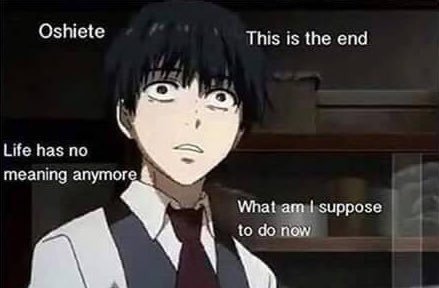 When your anime series ends