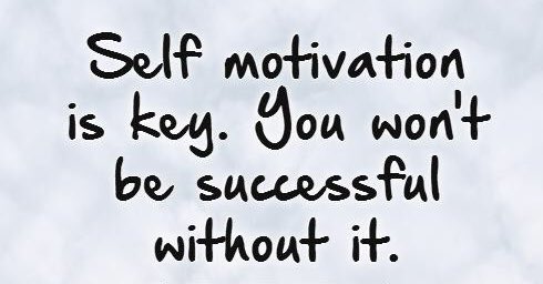 ZebraBolt's tweet image. Happy Wednesday everyone! #WisdomWednesday #ZebraBolt