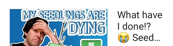 makehydroponics's tweet image. In case you missed it. I’ve got a lot of positive feedback on this last video. youtu.be/jZNjLKJ7qwQ