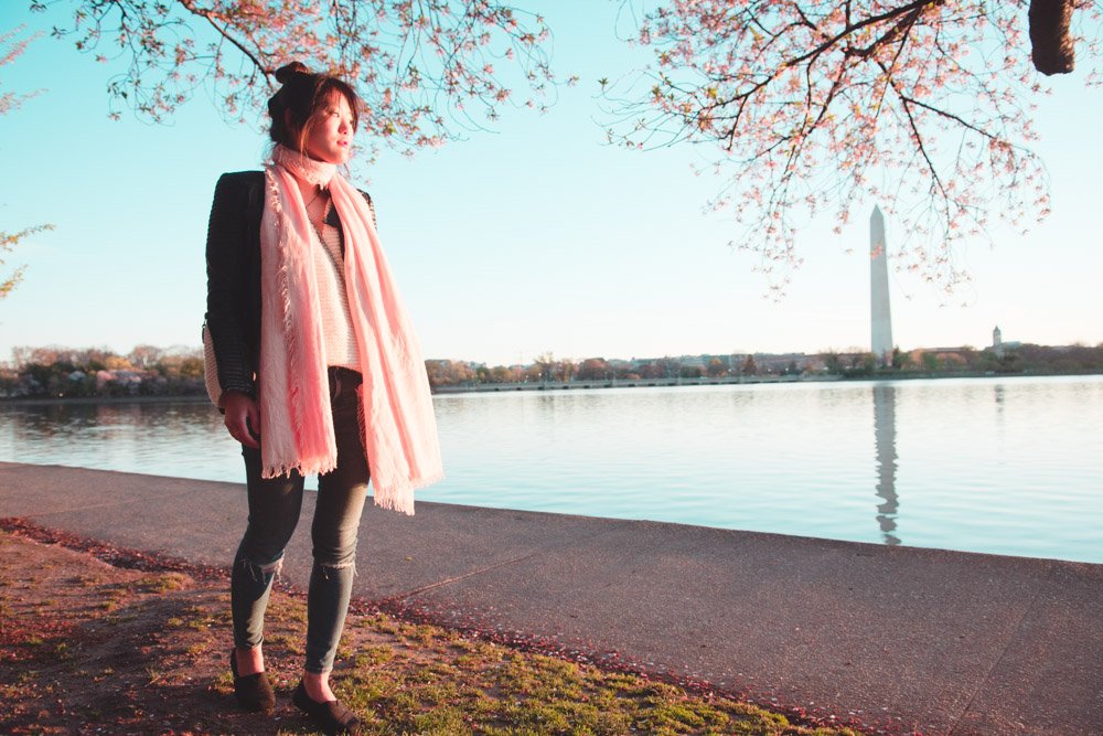 SeaofBlush's tweet image. Everything you need to know about Cherry Blossoms in D.C.  bit.ly/cherryblossoms… #fblchat #blogginggals #travel