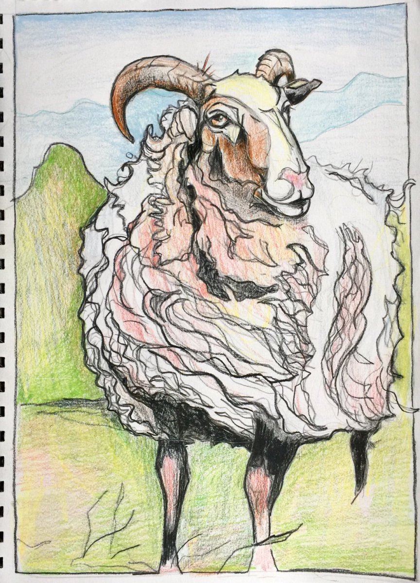 Sketchbook:  Goat timothyone.com/2018/04/18/ske…