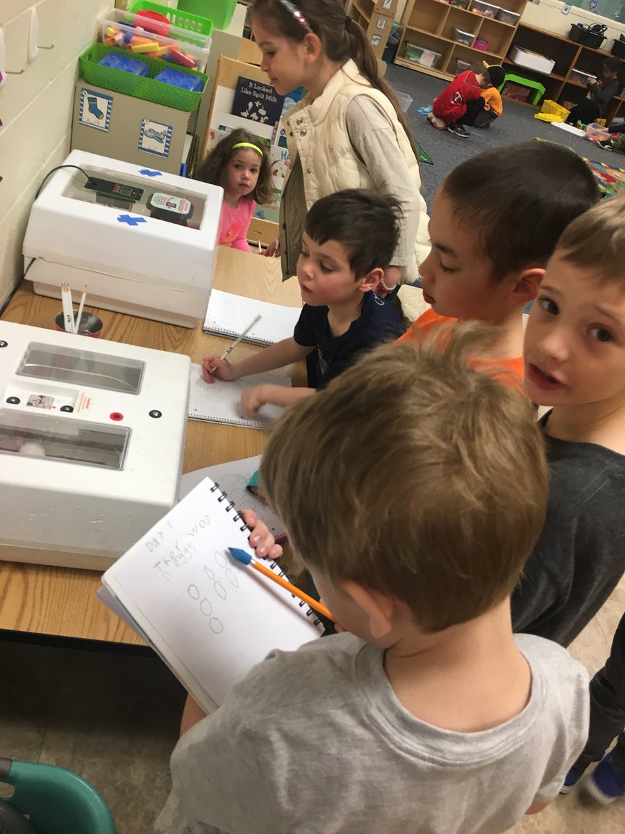 AndeeWebb's tweet photo. Exciting day in K3! Today was day 1 with our duck eggs. We are hoping for baby ducks in 28 days! Until then, we will continue to be amazed by the ducks we see in our nature center!  🦆#fivehawks #kinders https://t.co/vCbRa9CLo5