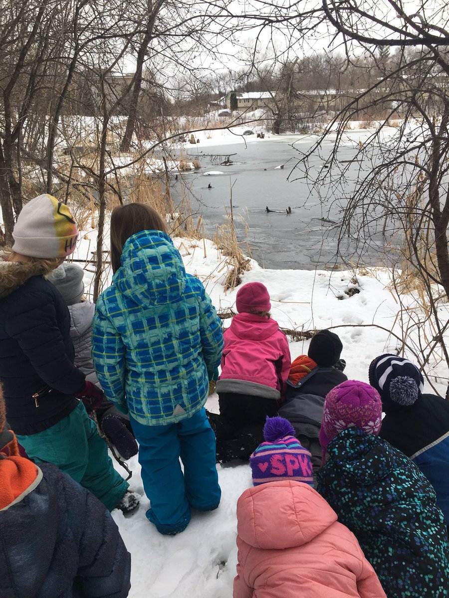 AndeeWebb's tweet photo. Exciting day in K3! Today was day 1 with our duck eggs. We are hoping for baby ducks in 28 days! Until then, we will continue to be amazed by the ducks we see in our nature center!  🦆#fivehawks #kinders https://t.co/vCbRa9CLo5