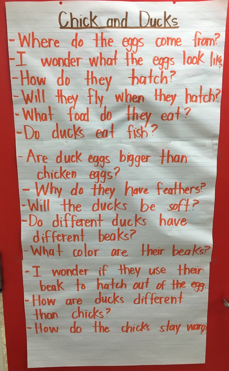 AndeeWebb's tweet photo. Exciting day in K3! Today was day 1 with our duck eggs. We are hoping for baby ducks in 28 days! Until then, we will continue to be amazed by the ducks we see in our nature center!  🦆#fivehawks #kinders https://t.co/vCbRa9CLo5