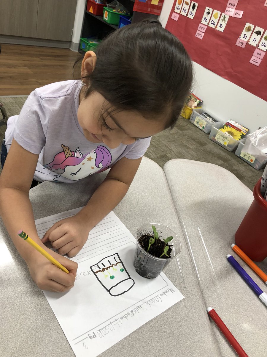 Mrs_Quinteros's tweet photo. Botanists studying their plants and documenting their findings. @HooverCFISD Our plants have sprouted! We’ve got green thumbs! #ThinkLikeAKidAndHaveFun https://t.co/usFQr7bjrX