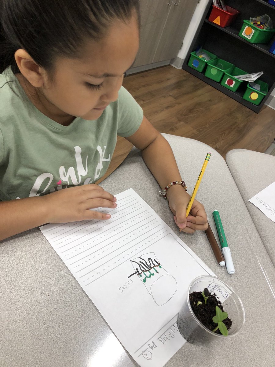 Mrs_Quinteros's tweet photo. Botanists studying their plants and documenting their findings. @HooverCFISD Our plants have sprouted! We’ve got green thumbs! #ThinkLikeAKidAndHaveFun https://t.co/usFQr7bjrX