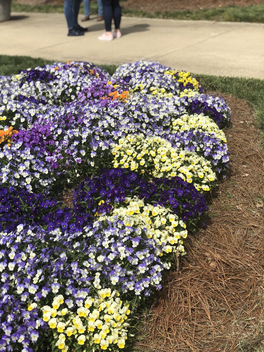 Apple Masters was a success! Thanks for everything <a href="/Apple/">Apple</a> <a href="/rb893m/">Ryan Bergman</a> <a href="/NCBred88/">Anthony Porter</a> <a href="/GKeiling/">Greg Keiling</a> <a href="/Mr_Feliciano20/">Erik Feliciano</a> #masters #apple