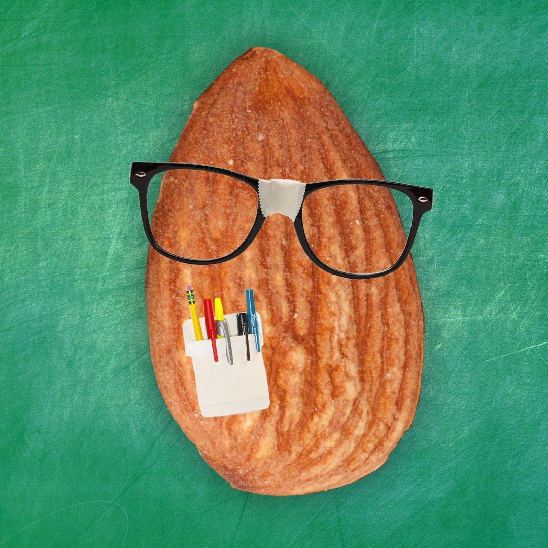 SunTreeSnack tweet picture
