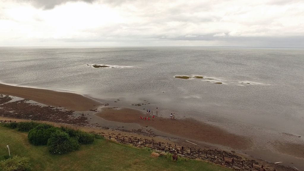brojects's tweet photo. Sisters Karen and Amy along with their husbands Travis and Brian share a modest summer home overlooking the Atlantic. But with four adults and five kids, space is T-I-G-H-T. Watch the final episode of #BuiltForTheWeekend tomorrow on @cottagelife.
#Brojects
#NovaScotia https://t.co/dakJ1TnIoi