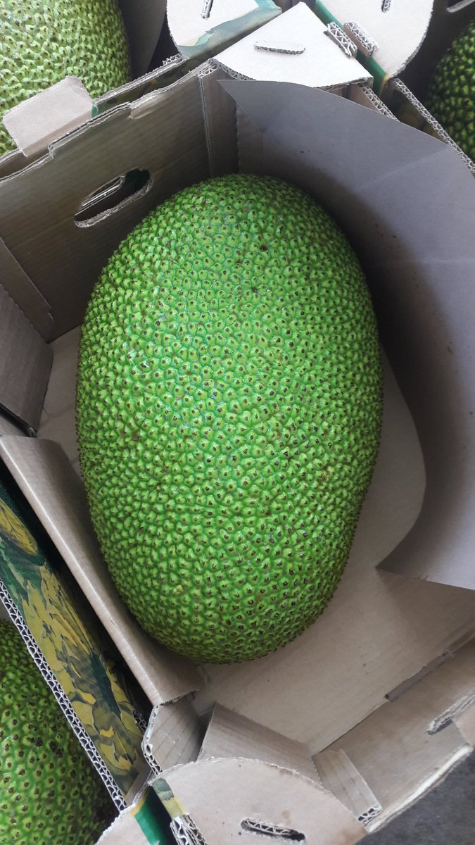 maproducemx's tweet image. If you need #Jackfruit, feel free to contact us.

#Tropical #Fresh #Fruits #Mexico