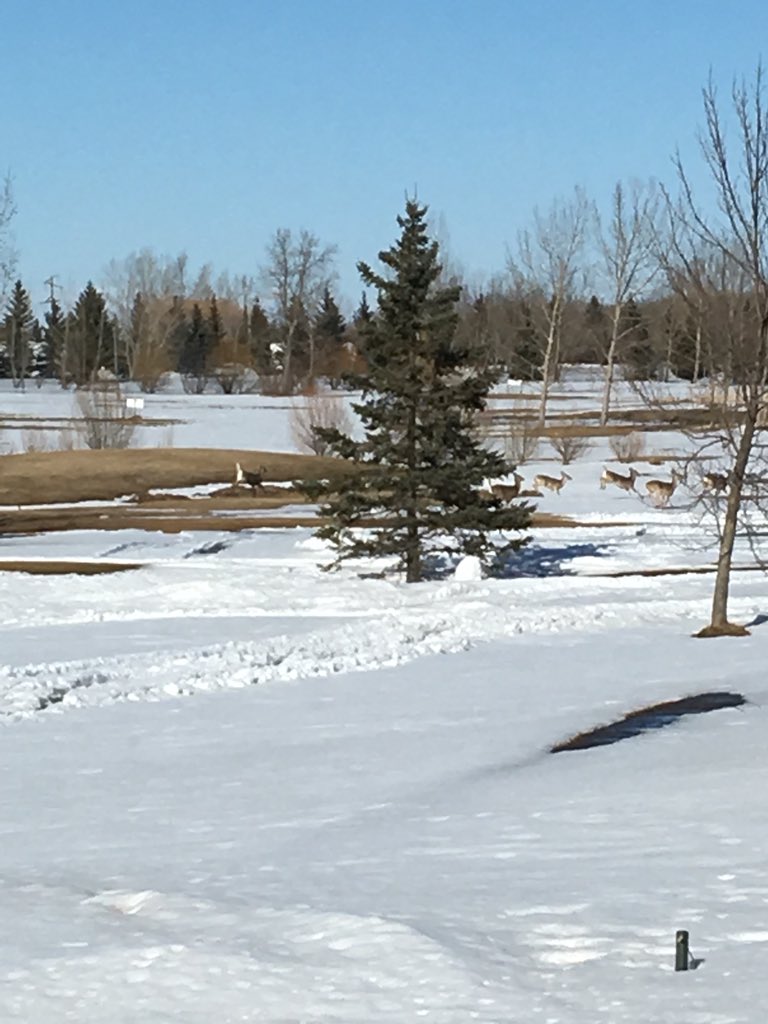 Pro-Shop at Rolling tweet media