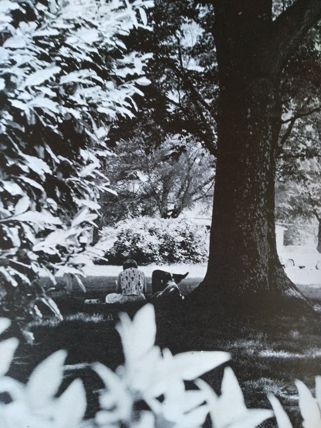 AthensStArchive's tweet photo. The @AthensState campus is covered in historic trees - they even have a collection in the Archive! Find out more (and get some free pizza) at the #ArborDay Festival coming up this Saturday on the Founders Hall lawn
#AthensAL #AlabamaHistory #AthensStateUniversity #LimestoneCoAl https://t.co/qIdsMue7Zy