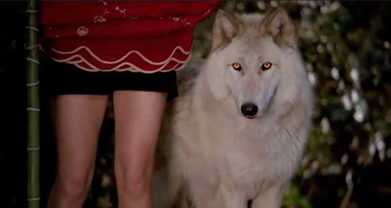 Dax ( On Hiatus) (@astoundingbrute) on Twitter photo 