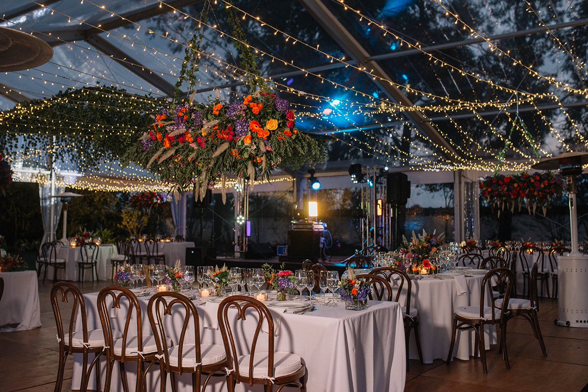JuliethBravoWP's tweet photo. Como sueñas tu boda ?
Ella respondio como un bosque encantando.
Gracias a nuestro super equipo lo logramos. https://t.co/2lN4Jjz4tT