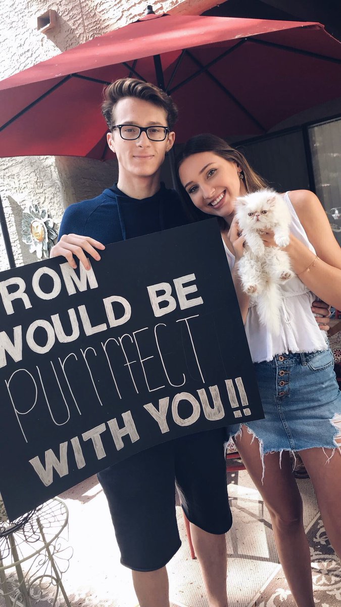izzymcdougall's tweet photo. @chapprom2018 best birthday present ❤️😽 https://t.co/t30BKfPfIa