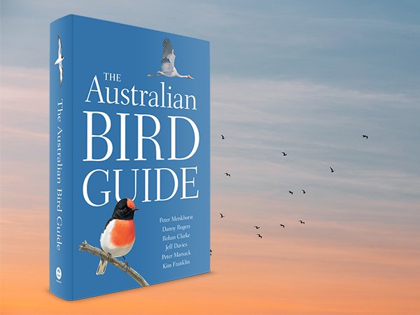 CSIROPublishing's tweet photo. Woke up this morning to some wonderful news: The Australian Bird Guide has made the #ABIA2018 Small Publishers' Adult Book of the Year Shortlist! https://t.co/BJuDrBwBIR #ausbirdguide @ABIA_Awards https://t.co/vWdblCMVTe