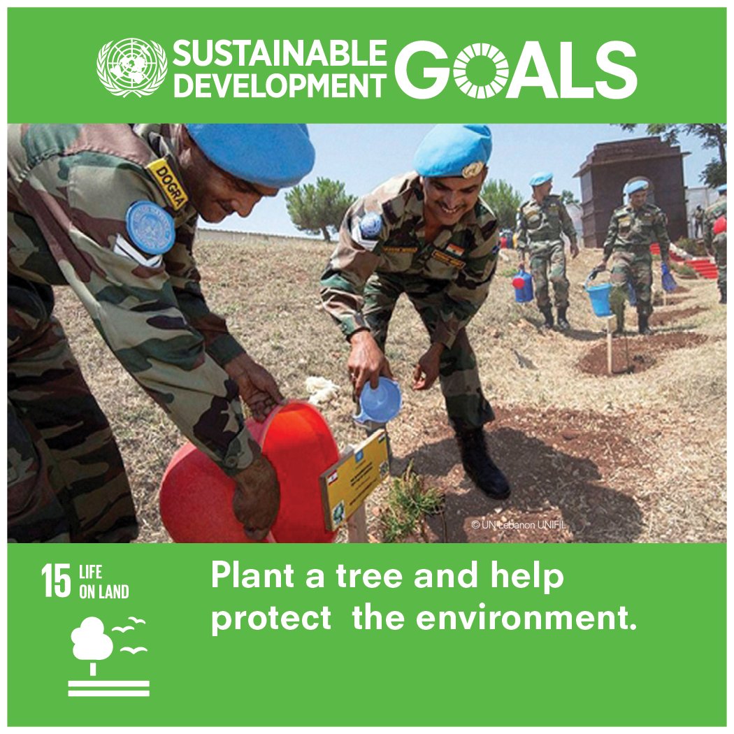 UN's tweet photo. Sustainably managed forests can help mitigate climate change, achieve #ZeroHunger &amp; protect biodiversity. More on how the #GlobalGoals aim to protect life on land: https://t.co/MX5SPAoM5f https://t.co/8JUwKf2yr9