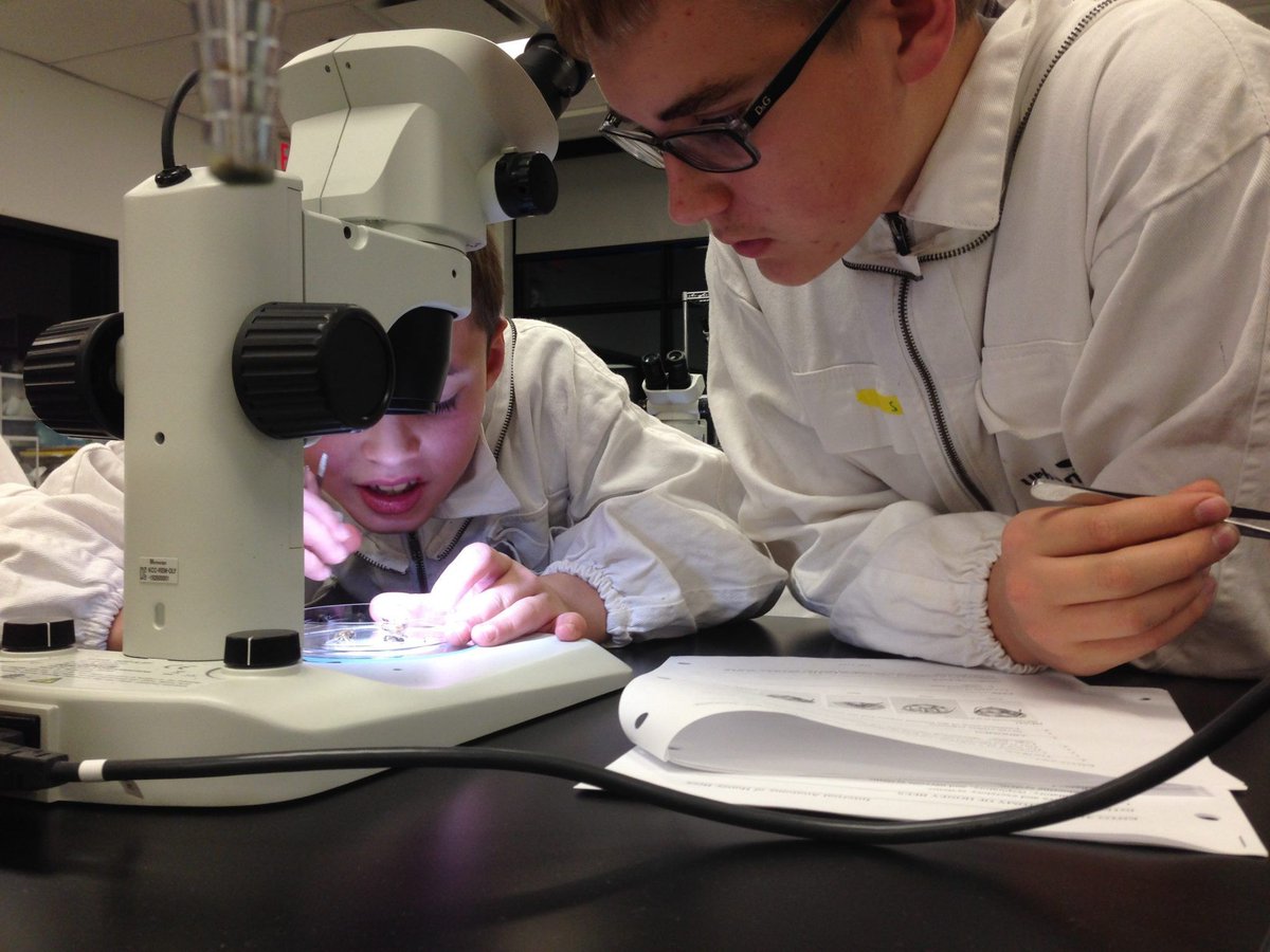 Dustin Bajer (He/Him) tweet media