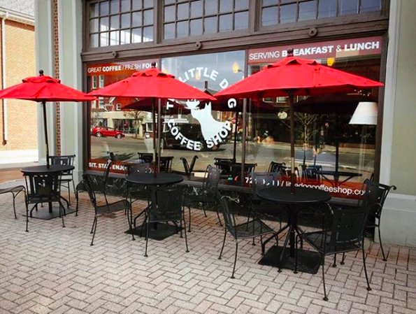 Seeking fresh air and sunshine?  Outdoor seating is back at The Little Dog!