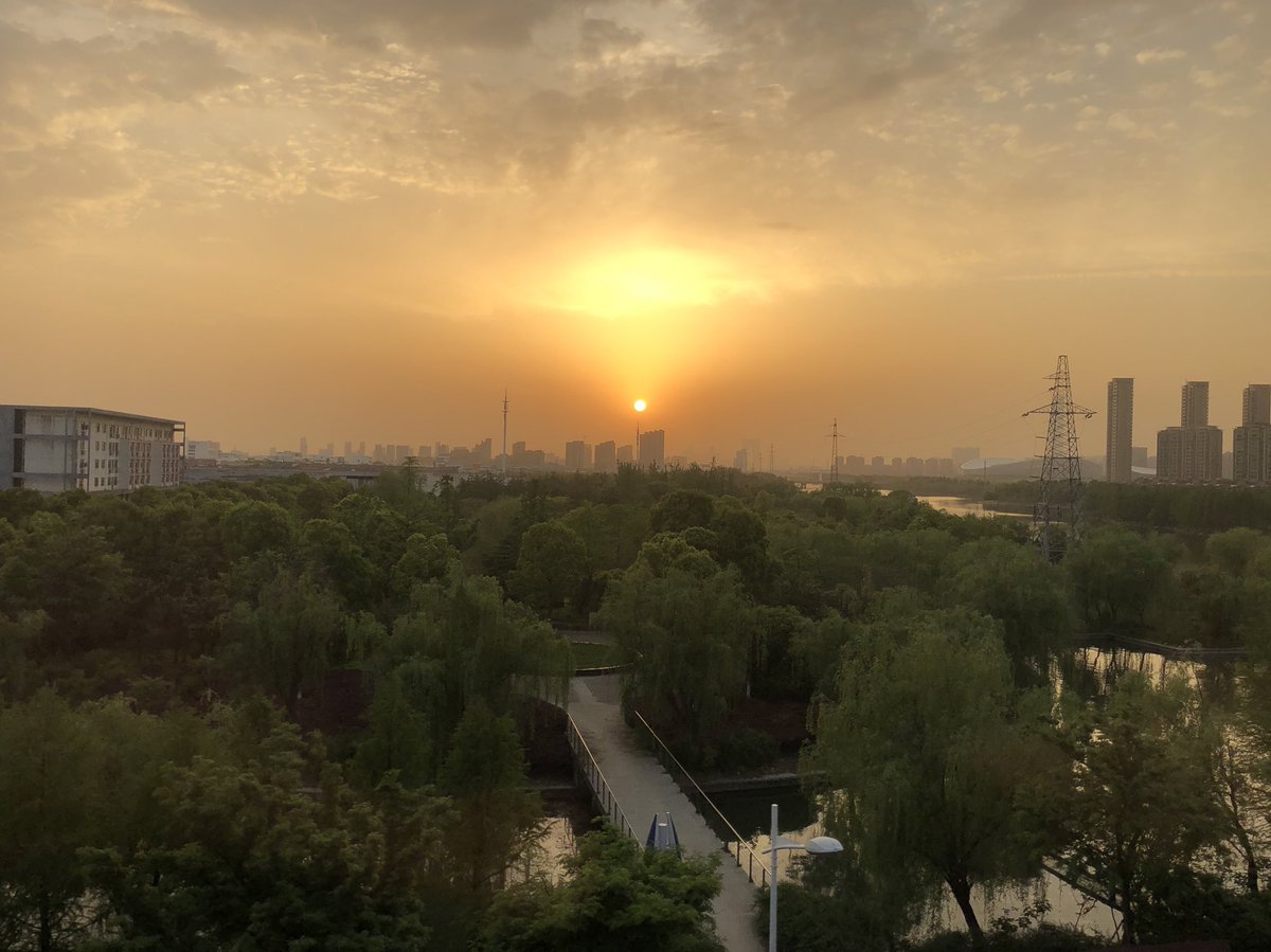 bogdanoviclab's tweet image. Great meeting so far @cshlmeetings #csha #epigenetics #transcription great science, beautiful place, excellent food!