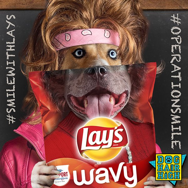 Dog Hair High 🐶 tweet media