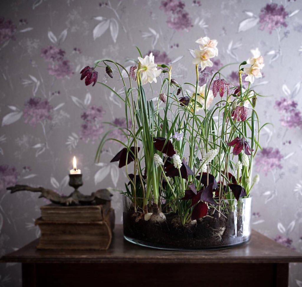 DbGs1M8XUAYHieJ.jpg:large