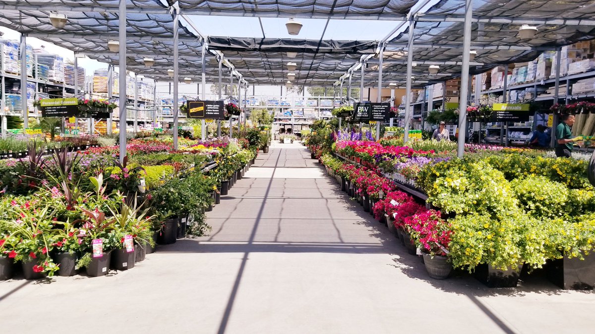 Crystal_hd28's tweet photo. Executing the everyday standards.  Customer Service #1.  #stayinstock #garden #bringonspring @krisbrandon321 @RianSM1040 @MikeFloresHD https://t.co/UH8madJEsd