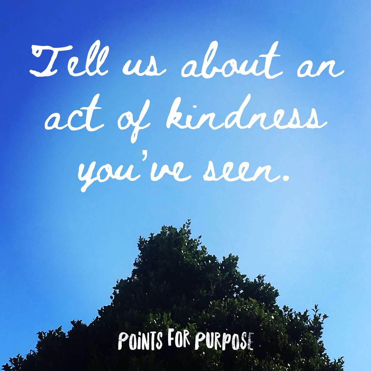 points4purpose's tweet photo. When have you seen someone being kind? 

Tell us, because we need more kindness in the world.

For example, I’m in Wellington today and I saw a woman sitting down and sharing a laugh with a homeless guy in Cuba Street. It was lovely to see.

#love  #kindness #pointsforpurpose https://t.co/ehUbl9ViNM