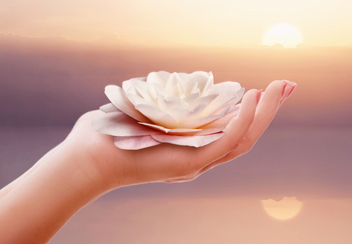 SaratogaOcean's tweet photo. #affirmation I go deep within to the Light of my #Heartcenter. There I feel the warmth and comfort of #InfiniteLove. I feel secure and safe in this quiet Serenity. I am deeply grateful for this #inneroasis of Peace 😌🙏🏻❤️ https://t.co/wMsW9MUWfs