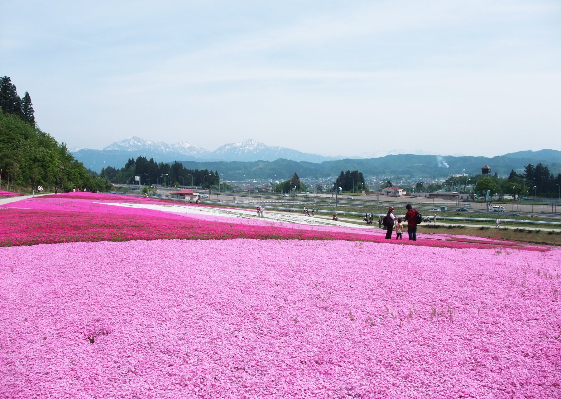 うまさぎっしり新潟 公式 新潟県観光協会 در توییتر 花と緑と雪の里 魚沼市 ピンク色の絨毯に会いにいきませんか シバザクラと白い残雪の山々 青空とのコントラストはまさに絶景 見頃は5月中旬から5月下旬 ぜひ足 うまさぎっしり新潟 公式 新潟県観光協会 در توییتر 花と緑と雪の里 魚沼市 ピンク色の絨毯に会いにいきませんか シバザクラと白い残雪の山々 青空とのコントラストはまさに絶景 見頃は5月中旬から5月下旬 ぜひ足