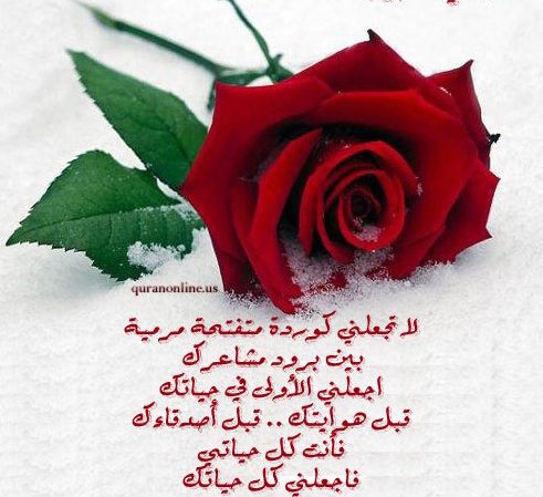 🌍 ريتال 🌍 (@0sv0piymui5mx5j) on Twitter photo 