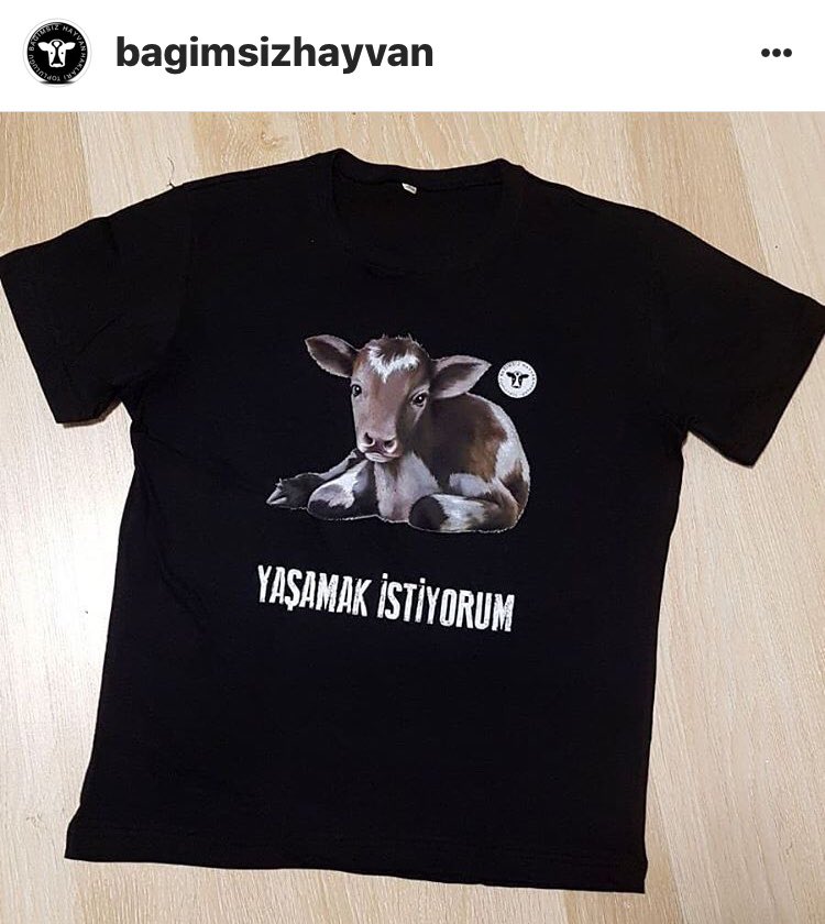 20 - 23 Nisan @didimvegfest’teyiz! Standımızda bu t-shirtler, Türkiye'nin ilk ve tek kurtarılmış çiftlik hayvanları barınağı yararına satışta olacak.Festivalde görüşmek üzere! 🐾✊🏽
#vegan #veganol #animalliberation #hayvanözgürlüğü #vegantürkiye #vegantshirt #veganfortheanimals