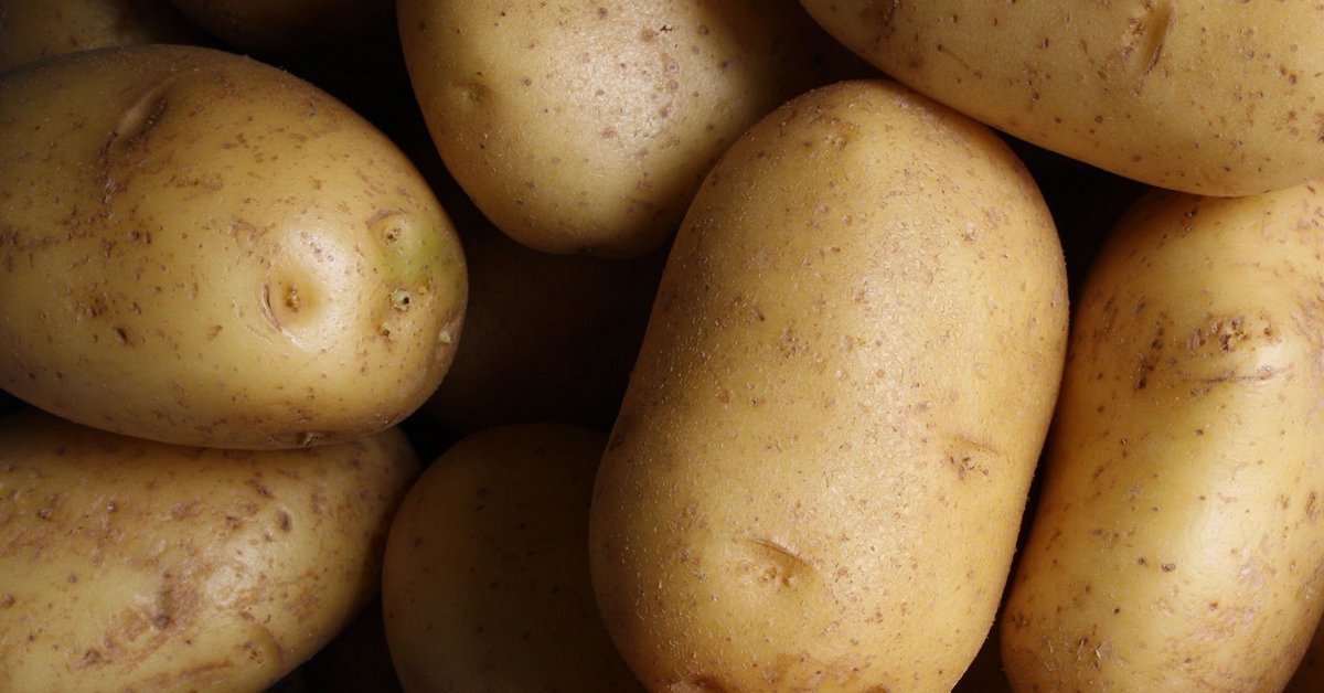 Potatoes are a wonderful, easy to grow crop to add to your food forest.
Certified Seed Potatoes are available to plant now.

barossanursery.com.au/how-to-grow-po…