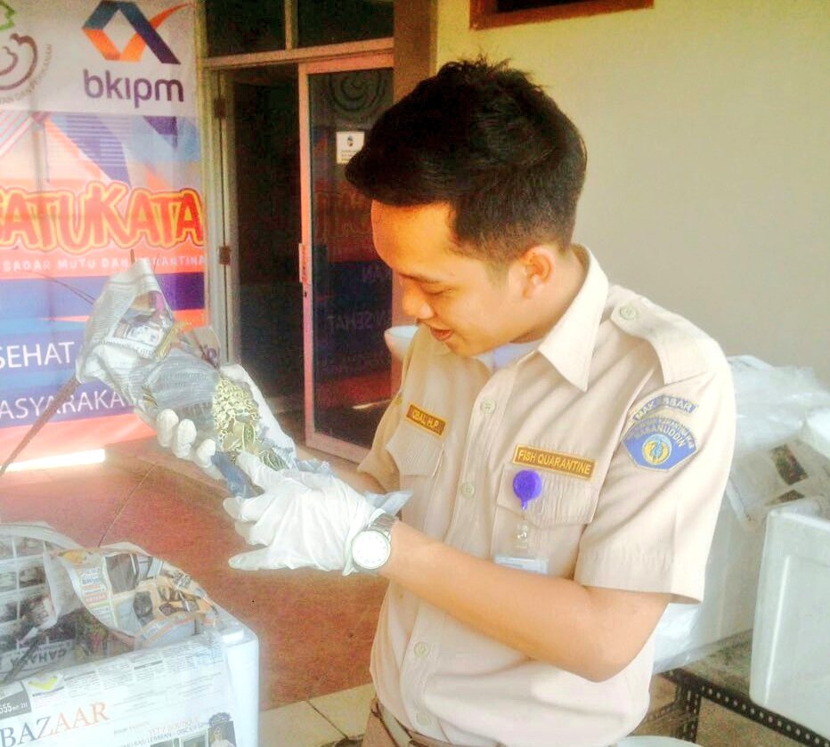 BPPMHKPMakassar tweet picture