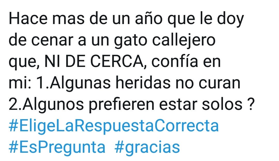 andreamvo's tweet photo. Veo, a lo mucho, algunas participaciones coherentes, los gestos de siempre, las mismas ideas, las mismas promesas.
Poco liderazgo, CERO pasión. Hace falta mucha sangre en las venas. #DebateChilango PD: #RescatenALorena #LorenaSufre
Volviendo al gato: #opcionMultiple https://t.co/6EuBgu2oBr