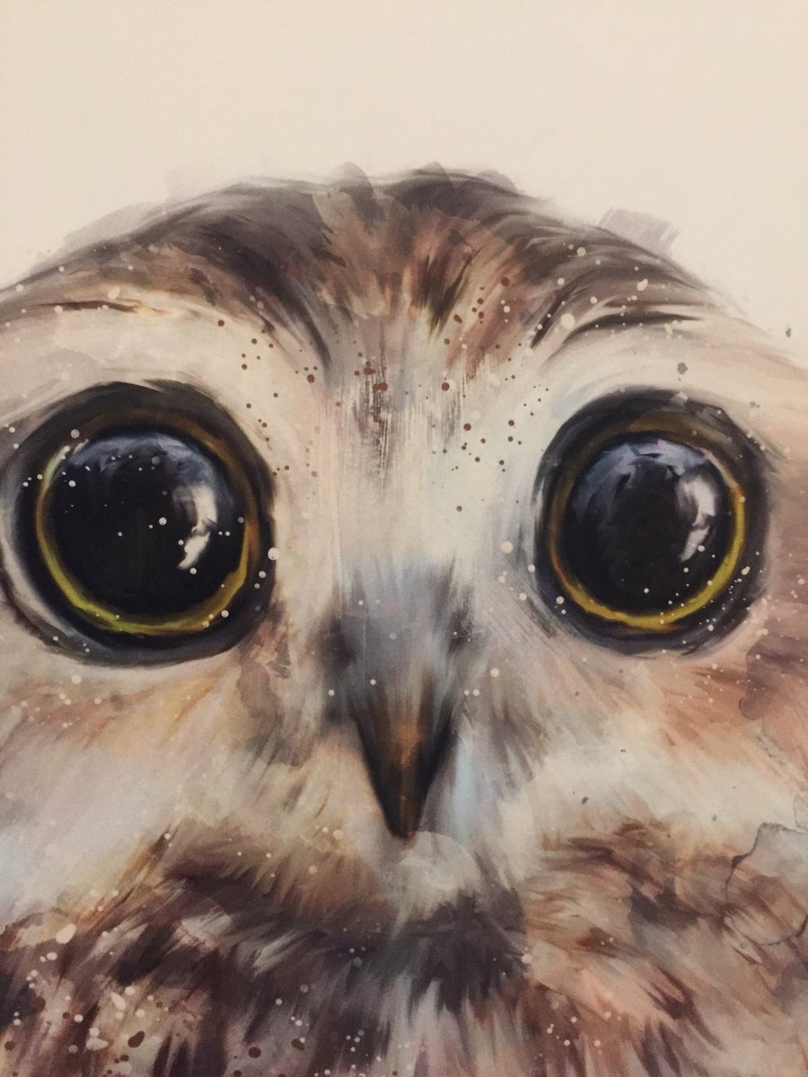 caitynicole7's tweet photo. @Mr_Blystone READAY #EdTechChatWSUV https://t.co/Fote5ebyQe