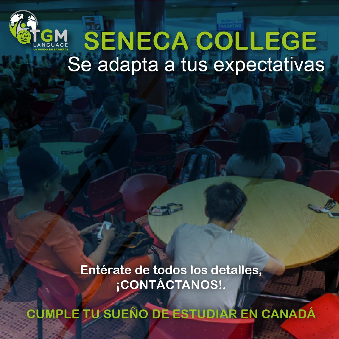 TGMLanguage's tweet image. Excelentes planes y programas de estudios, ¡Contáctanos!, obtén mas información.

.

.

#TGMLANGUAGE #cursosdeIngles #estudiarenelexterior, #preparaciondeinglesuniversitario #canada #Colombia

#venezuela #chile #republicadominicana