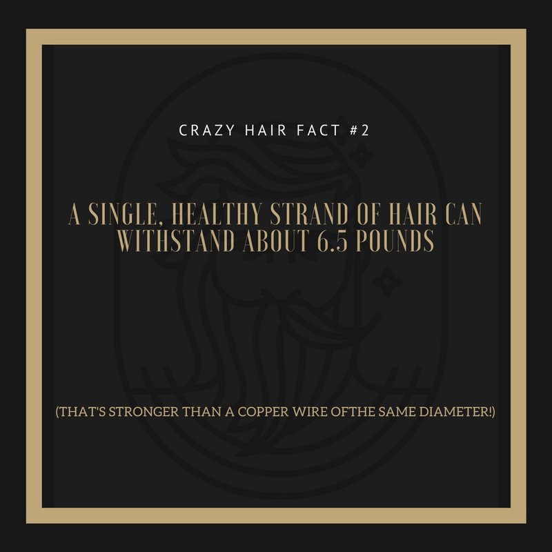 Dappergrooming_'s tweet photo. What products do you use to keep your hair strong? #mensgrooming #menstyle #hairstylesformen #pnw #goodhair #menshealth #downtownseattle #seattlebarbershop #internationalbarbers #thebarberpost #showcasebarbers #worldbarbershops https://t.co/RjkNnRfNvD