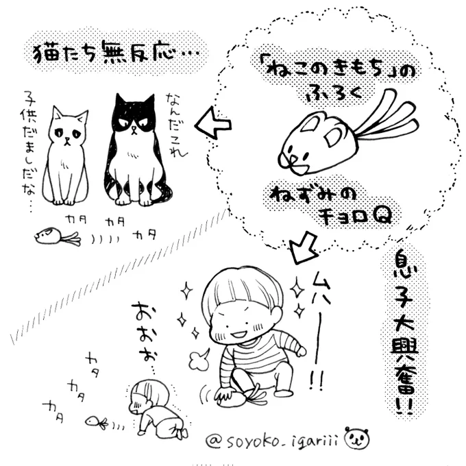 こどもと猫のコラボによりおもちゃの寿命が延びてうれしいです#猫とむすこ #ねこのきもち 