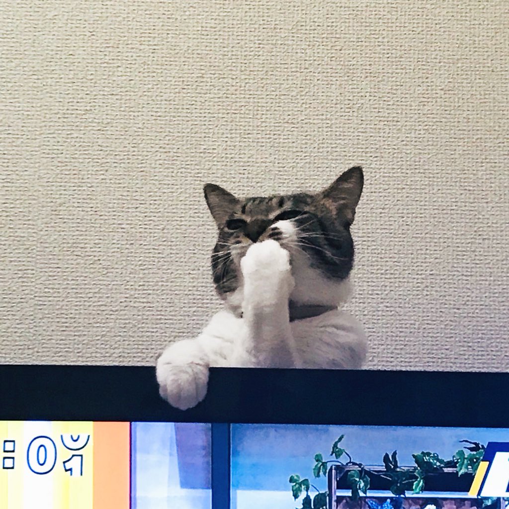 寂しい人妻feat.ななお♂ tweet media