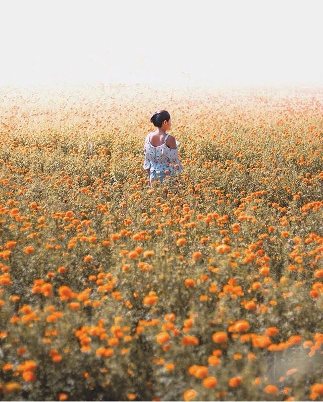 ift.tt/2J8pBSp [Infolengkap] Faktagram hari ini #Infolengkap #fakta #mostpopular via Instagram