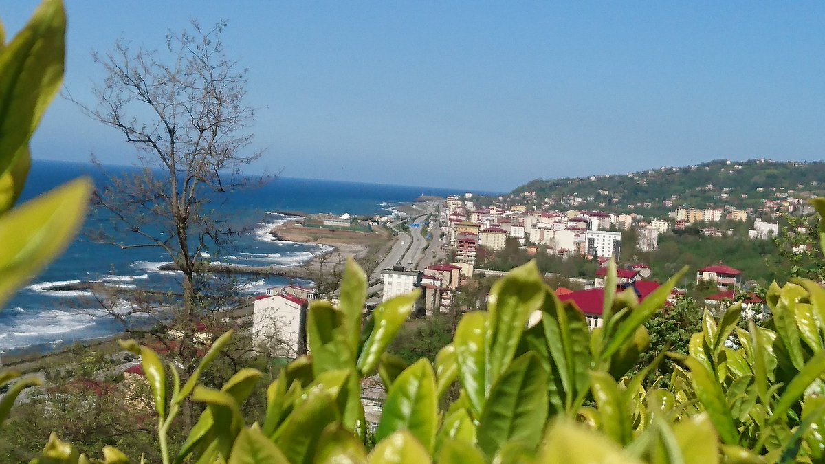 FikretBODUR's tweet photo. @trtdunbugun.. 
Giresun Eynesil ilçesinden hayırlı sabahlar.. 24 Haziran Cumhurbaşkanlığı seçimleri vatanımıza ve milletimize hayırlı olsun.. https://t.co/ZhIAAtQxX7